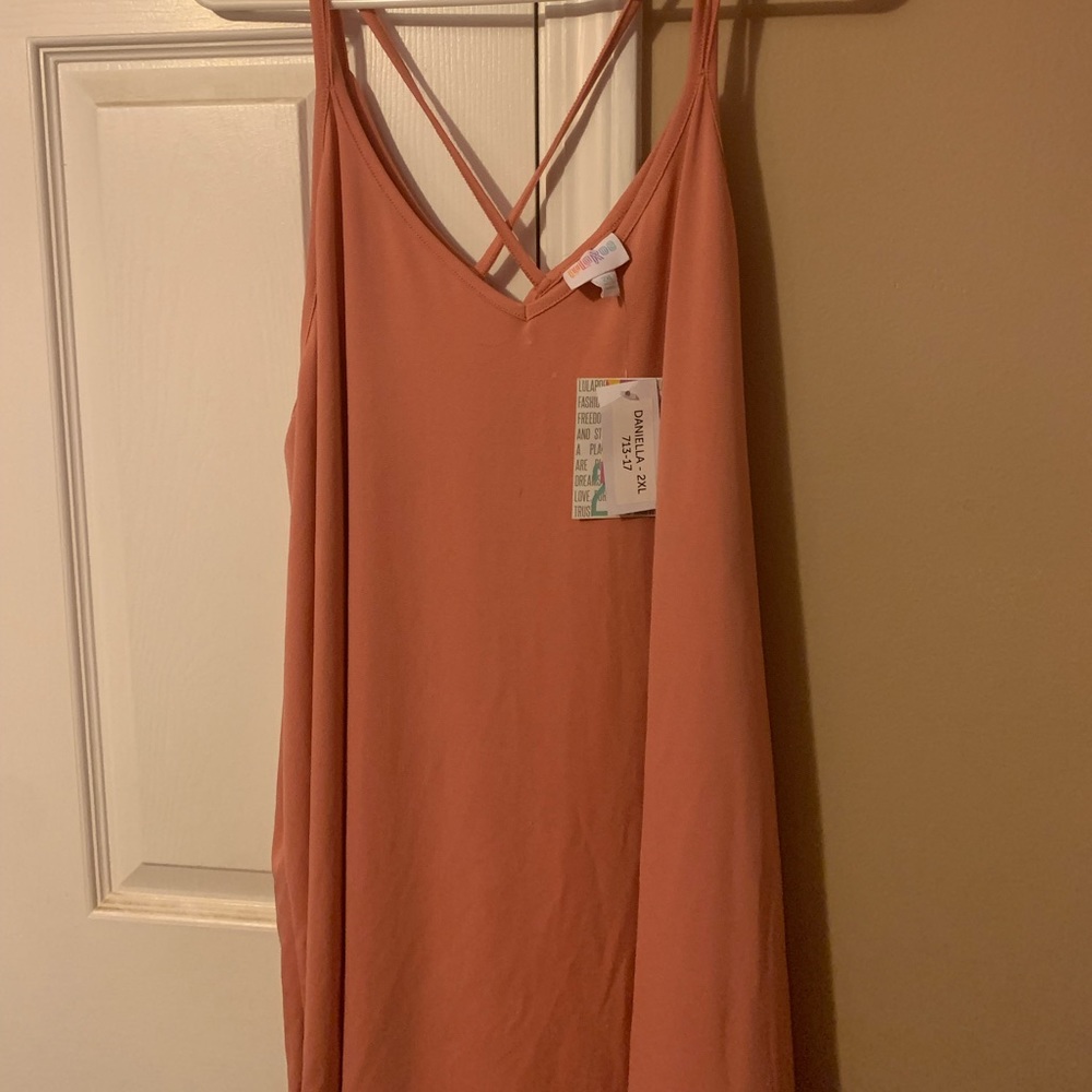 NWT 2XL Daniella, beautiful blush color!